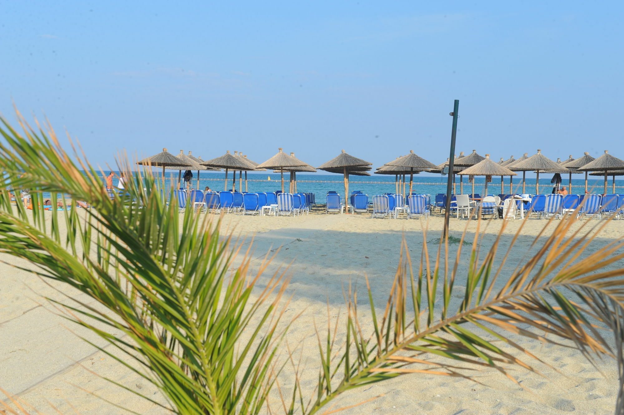 Hotel Platon Beach Olympiakí Aktí Eksteriør billede